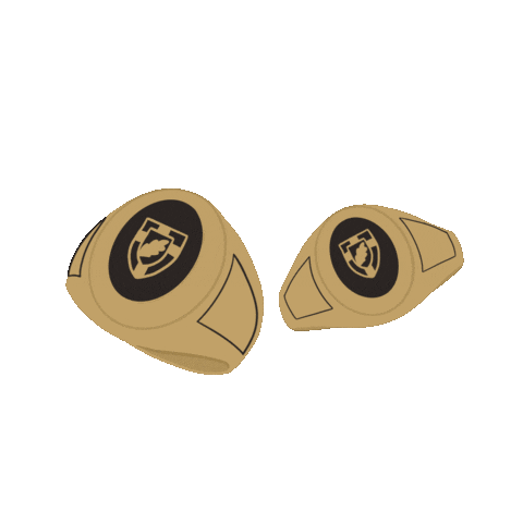 Gold Rings Sticker by Anderson University