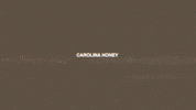 New Music Carolina GIF by Marcus King