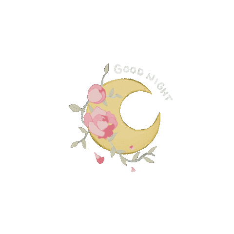 Liomi_co beauty health good night collagen Sticker