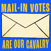 Vote Now Election 2020 GIF by Creative Courage