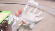 Cat Kitty GIF by Wired Productions