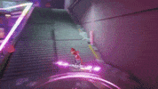 Cat Rainbow GIF by Wired Productions