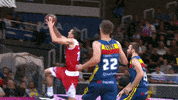 liga endesa basketball GIF by ACB