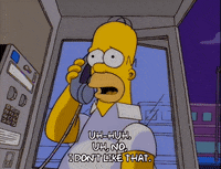 homer simpson GIF