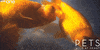 bbc one fish GIF by BBC
