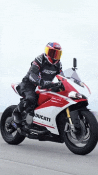 Ducati GIF