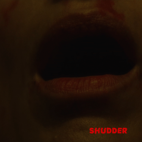 horror night of the virgin GIF by Shudder