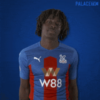 Premier League No GIF by CPFC