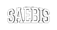 Sticker by saebis
