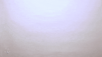 Seniors Navy Soccer GIF by Navy Athletics