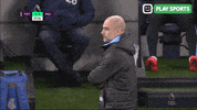 Premier League Yes GIF by Play Sports