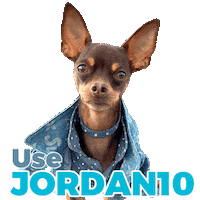 Dog Fashion Dogs Sticker by Pimp Yo Pets