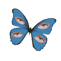 Art Eyes Sticker