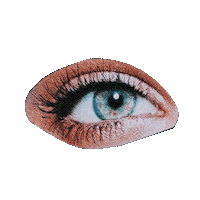 Art Eye Sticker