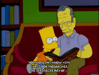 bart simpson episode 13 GIF