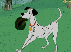 walt disney animation studios dog GIF by Disney