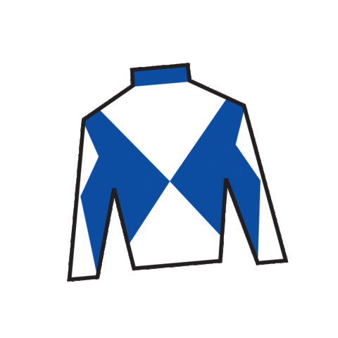 Horse Racing Sticker by Kentucky Derby