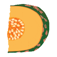 Pumpkin Market Sticker by Scribble Kids Books
