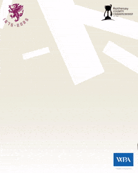 Wave Ball GIF by Somerset County Cricket Club