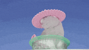 sunbathing cool cat GIF