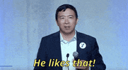 Andrew Yang 2020 Race GIF