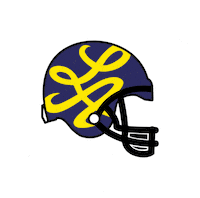 Super Bowl Sticker by HOT ROD LA