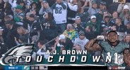 Philadelphia Eagles Football GIF by NFL
