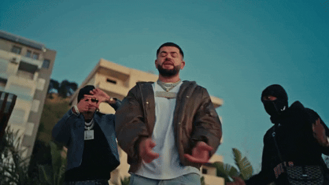 Eagle Albania GIF by D-Block Europe