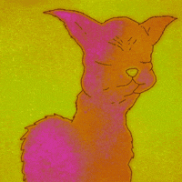 Cat Loop GIF by juanrlag