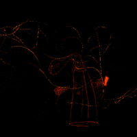 Art Cat GIF by kim noce