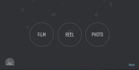 DesignRush giphyupload GIF