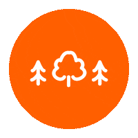 Tree Get Outside Sticker by Ordnance Survey