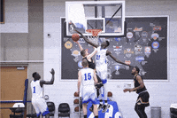 SLCCBruins softball utah bruins bruin GIF