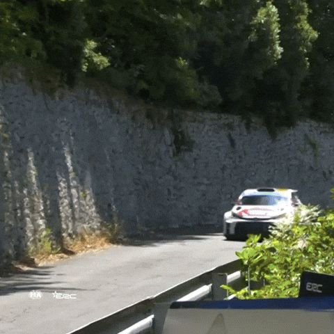 Erc GIF by FIA European Rally Championship