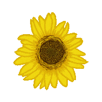 Summer Illustration Sticker by Betheny Waygood