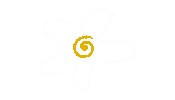 denise5sos flower daisy petals white flower Sticker