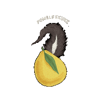 victoriacannabisco skunk pomelo vcc viccannco Sticker