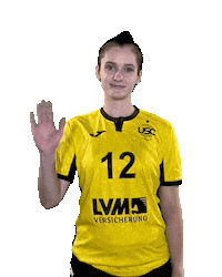 USC_Muenster wave ball volleyball waving Sticker