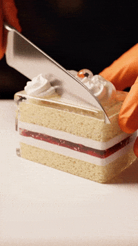 Trending Vibe GIF by Darwin