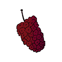 Mulberry Sticker