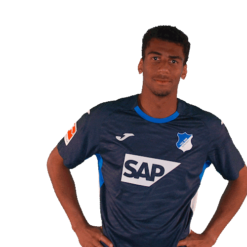 Sport Bundesliga Sticker by TSG Hoffenheim