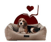 Лежанка Для Собак Sticker by PET BED