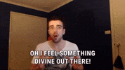 Cat GIF