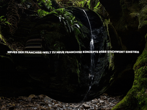 Enjoy Lol GIF by FranchiseONE.de