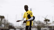 Sierra Leone Hello GIF by Charleston Battery