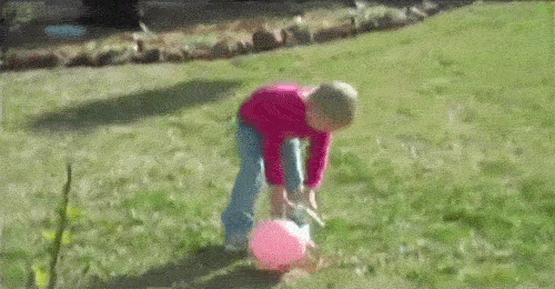 afv GIF by America's Funniest Home Videos