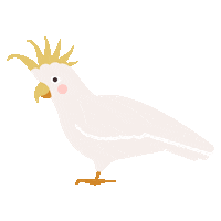Parrot Cockatiel Sticker by Speak Out Studio