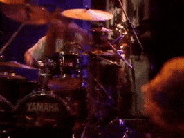 eddie vedder GIF by Pearl Jam