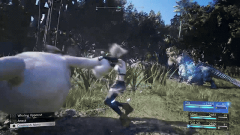 giphy.gif
