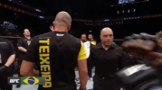 jared cannonier ufc GIF